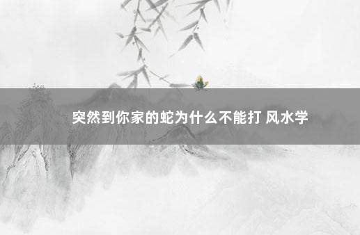 突然到你家的蛇为什么不能打 风水学