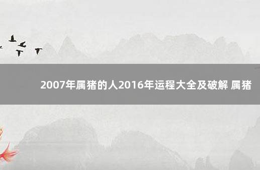 2007年属猪的人2016年运程大全及破解 属猪2007年一生的命运