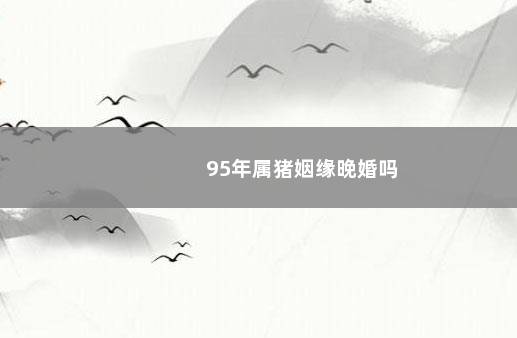 95年属猪姻缘晚婚吗