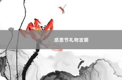 感恩节礼物攻略