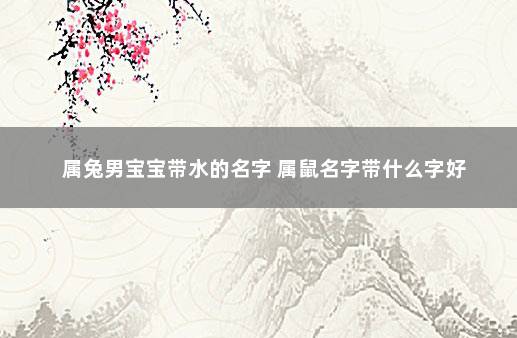 属兔男宝宝带水的名字 属鼠名字带什么字好