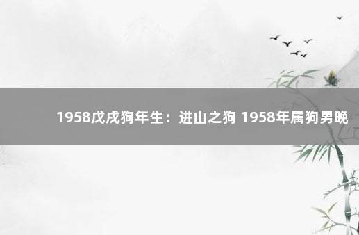 1958戊戌狗年生：进山之狗 1958年属狗男晚年命运