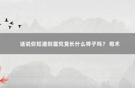 话说你知道剑眉究竟长什么样子吗？ 相术