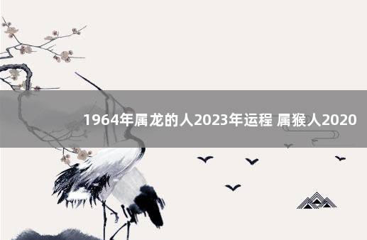 1964年属龙的人2023年运程 属猴人2020年运势运程