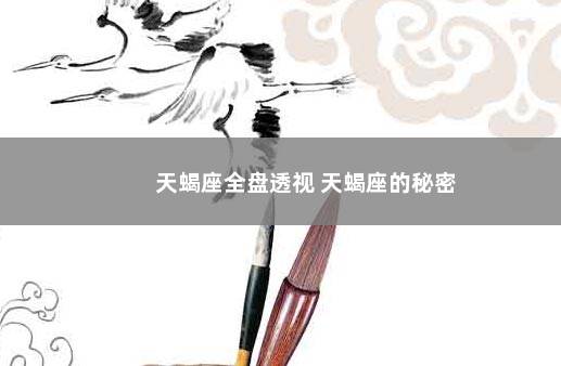 天蝎座全盘透视 天蝎座的秘密