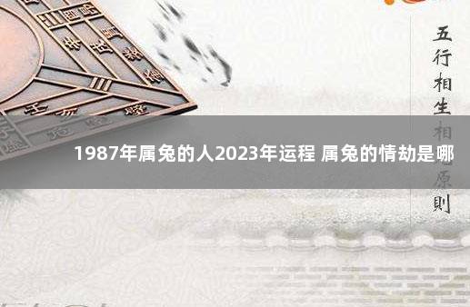 1987年属兔的人2023年运程 属兔的情劫是哪个属相