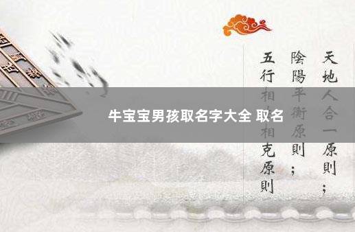 牛宝宝男孩取名字大全 取名