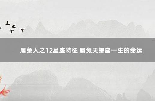 属兔人之12星座特征 属兔天蝎座一生的命运