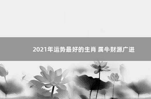 2021年运势最好的生肖 属牛财源广进