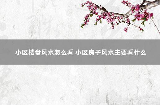 小区楼盘风水怎么看 小区房子风水主要看什么