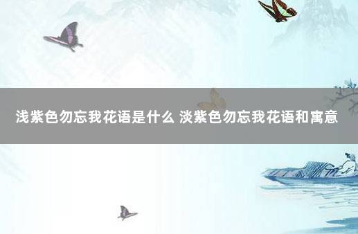 浅紫色勿忘我花语是什么 淡紫色勿忘我花语和寓意