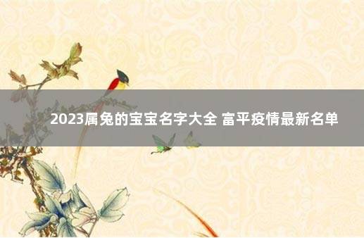 2023属兔的宝宝名字大全 富平疫情最新名单