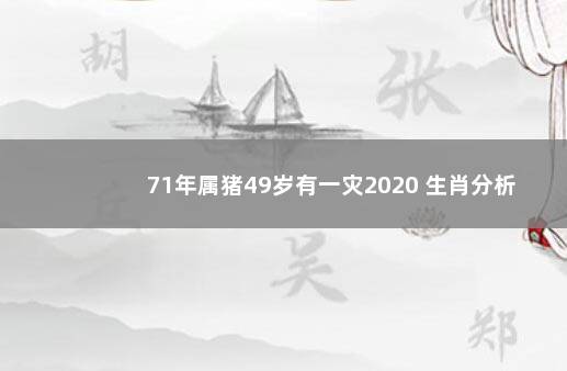 71年属猪49岁有一灾2020 生肖分析