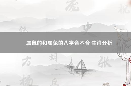 属鼠的和属兔的八字合不合 生肖分析