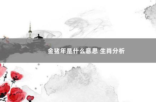 金猪年是什么意思 生肖分析