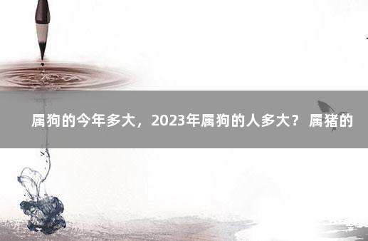 属狗的今年多大，2023年属狗的人多大？ 属猪的人今年多大了