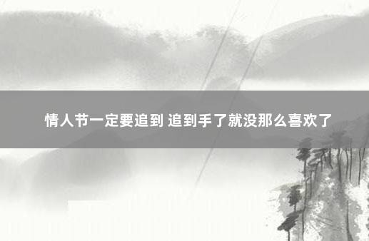 情人节一定要追到 追到手了就没那么喜欢了