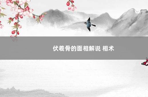 伏羲骨的面相解说 相术