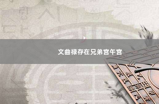 文曲禄存在兄弟宫午宫