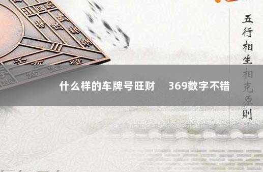 什么样的车牌号旺财 　369数字不错