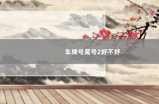 车牌号尾号2好不好