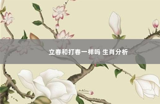 立春和打春一样吗 生肖分析