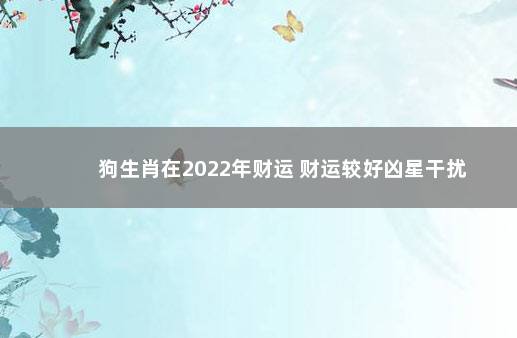 狗生肖在2022年财运 财运较好凶星干扰