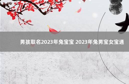 男孩取名2023年兔宝宝 2023年兔男宝女宝通用名字