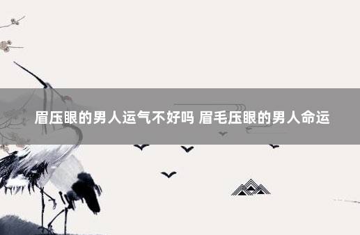 眉压眼的男人运气不好吗 眉毛压眼的男人命运