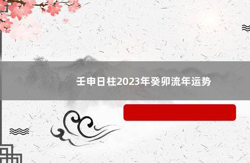 壬申日柱2023年癸卯流年运势