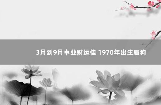 3月到9月事业财运佳 1970年出生属狗