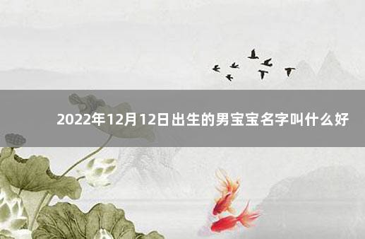 2022年12月12日出生的男宝宝名字叫什么好 2022年出生的男孩起名