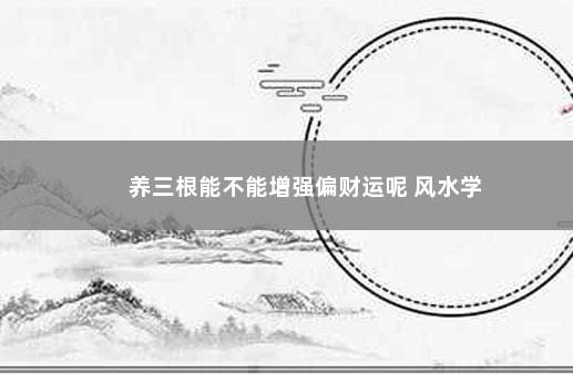 养三根能不能增强偏财运呢 风水学