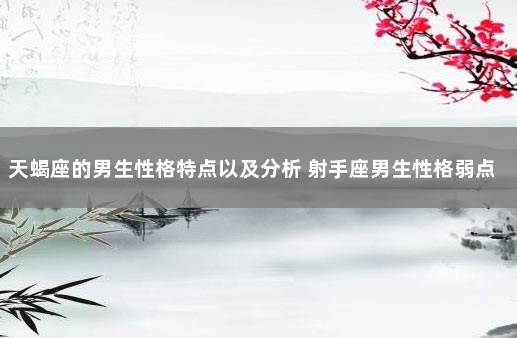 天蝎座的男生性格特点以及分析 射手座男生性格弱点