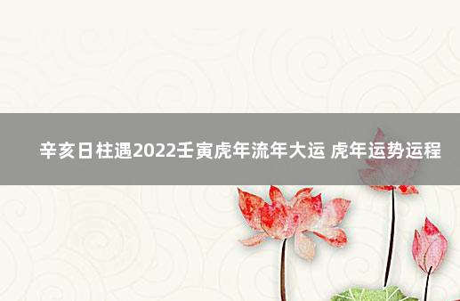 辛亥日柱遇2022壬寅虎年流年大运 虎年运势运程