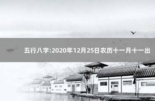 五行八字:2020年12月25日农历十一月十一出生的宝宝生辰起名 取名