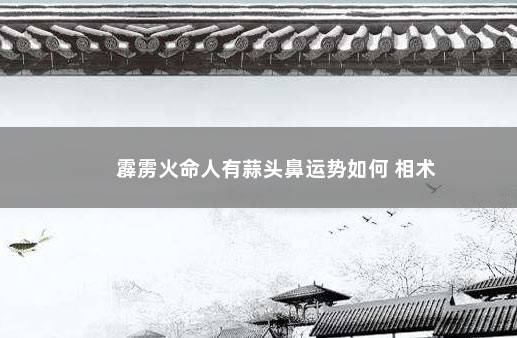 霹雳火命人有蒜头鼻运势如何 相术