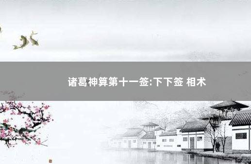 诸葛神算第十一签:下下签 相术