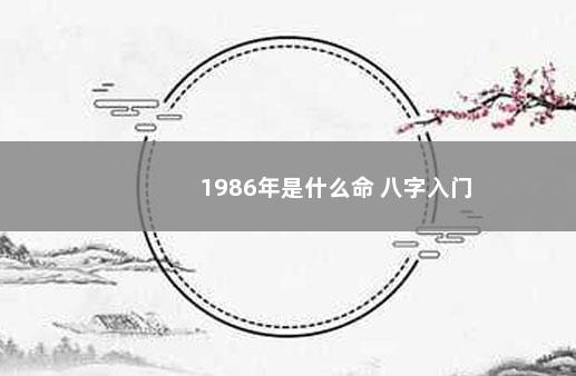 1986年是什么命 八字入门