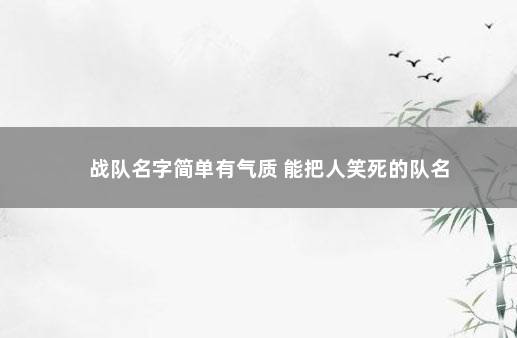 战队名字简单有气质 能把人笑死的队名