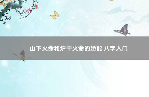 山下火命和炉中火命的婚配 八字入门
