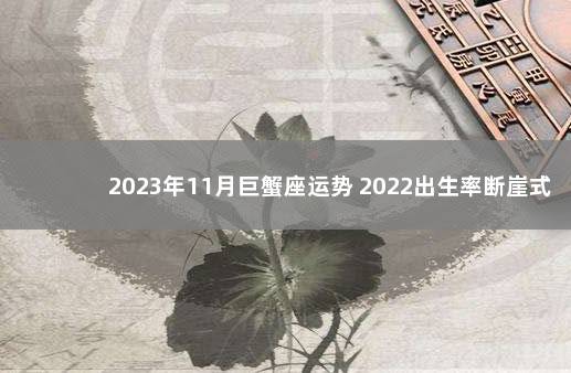 2023年11月巨蟹座运势 2022出生率断崖式下跌