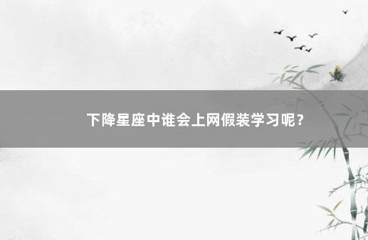 下降星座中谁会上网假装学习呢？