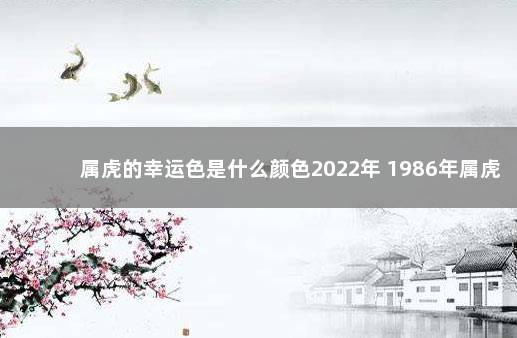 属虎的幸运色是什么颜色2022年 1986年属虎招财颜色