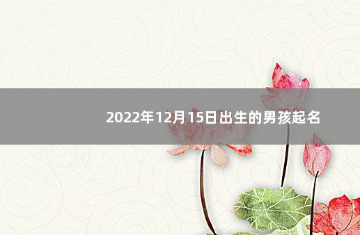 2022年12月15日出生的男孩起名