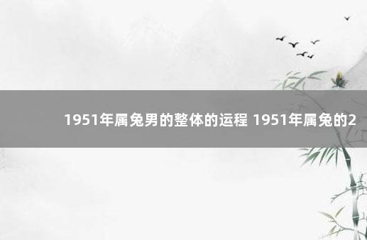 1951年属兔男的整体的运程 1951年属兔的2021年运势