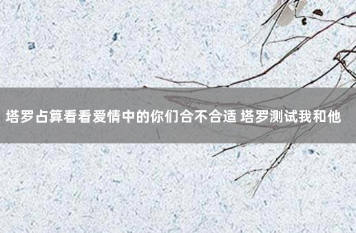 塔罗占算看看爱情中的你们合不合适 塔罗测试我和他就这样结束了吗