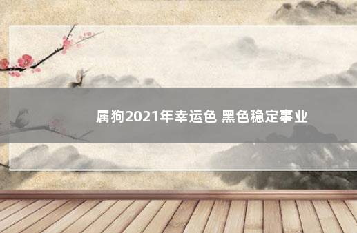 属狗2021年幸运色 黑色稳定事业