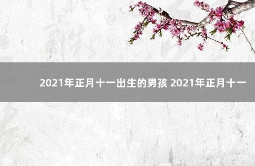 2021年正月十一出生的男孩 2021年正月十一出生男孩的五行八字