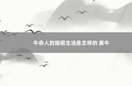 牛命人的婚姻生活是怎样的 属牛